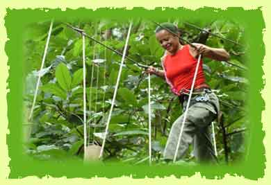 Adventure Park